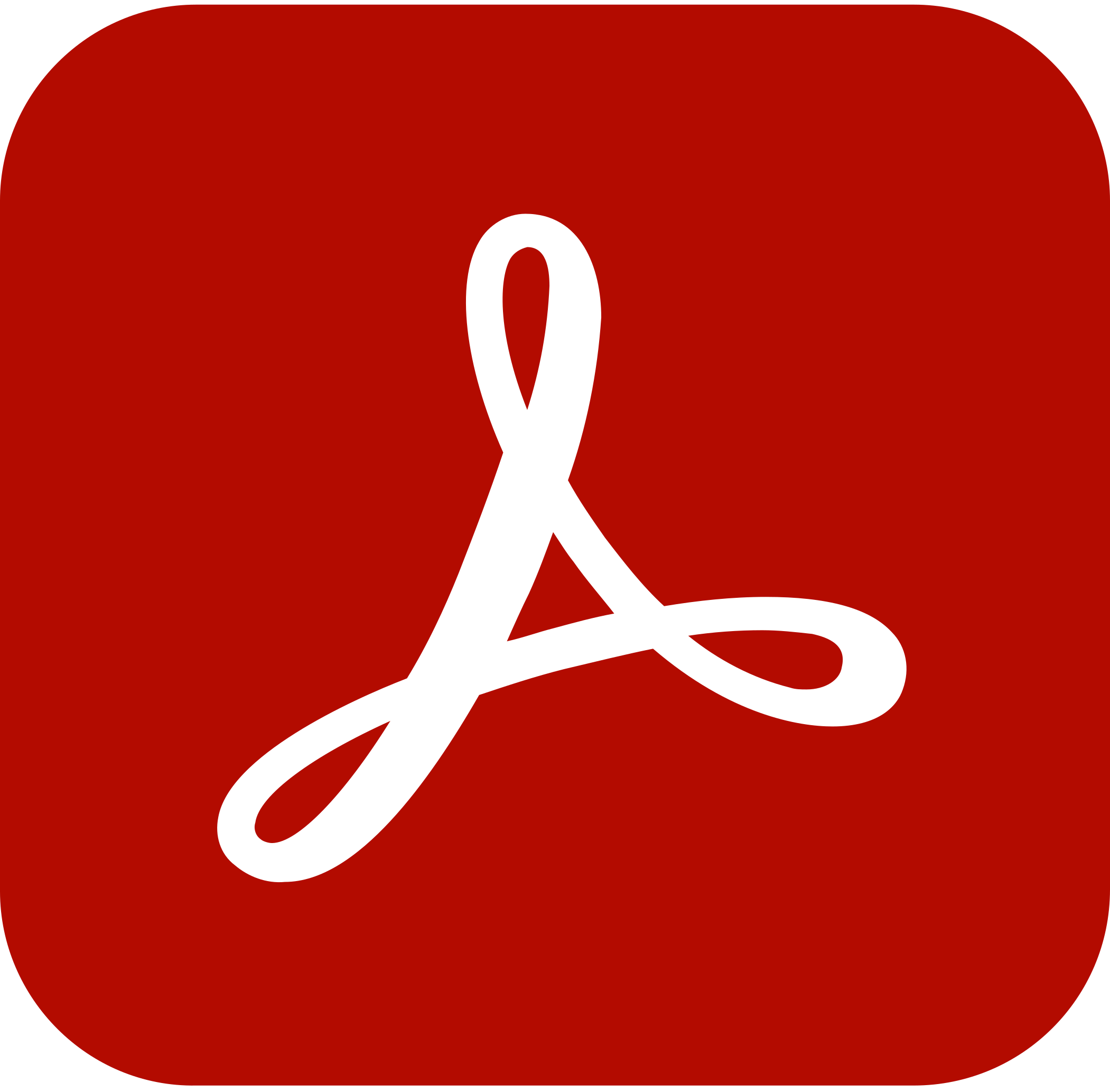 Adobe Icon